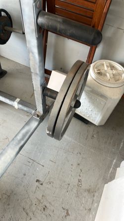 Olympic weights Olympic weight