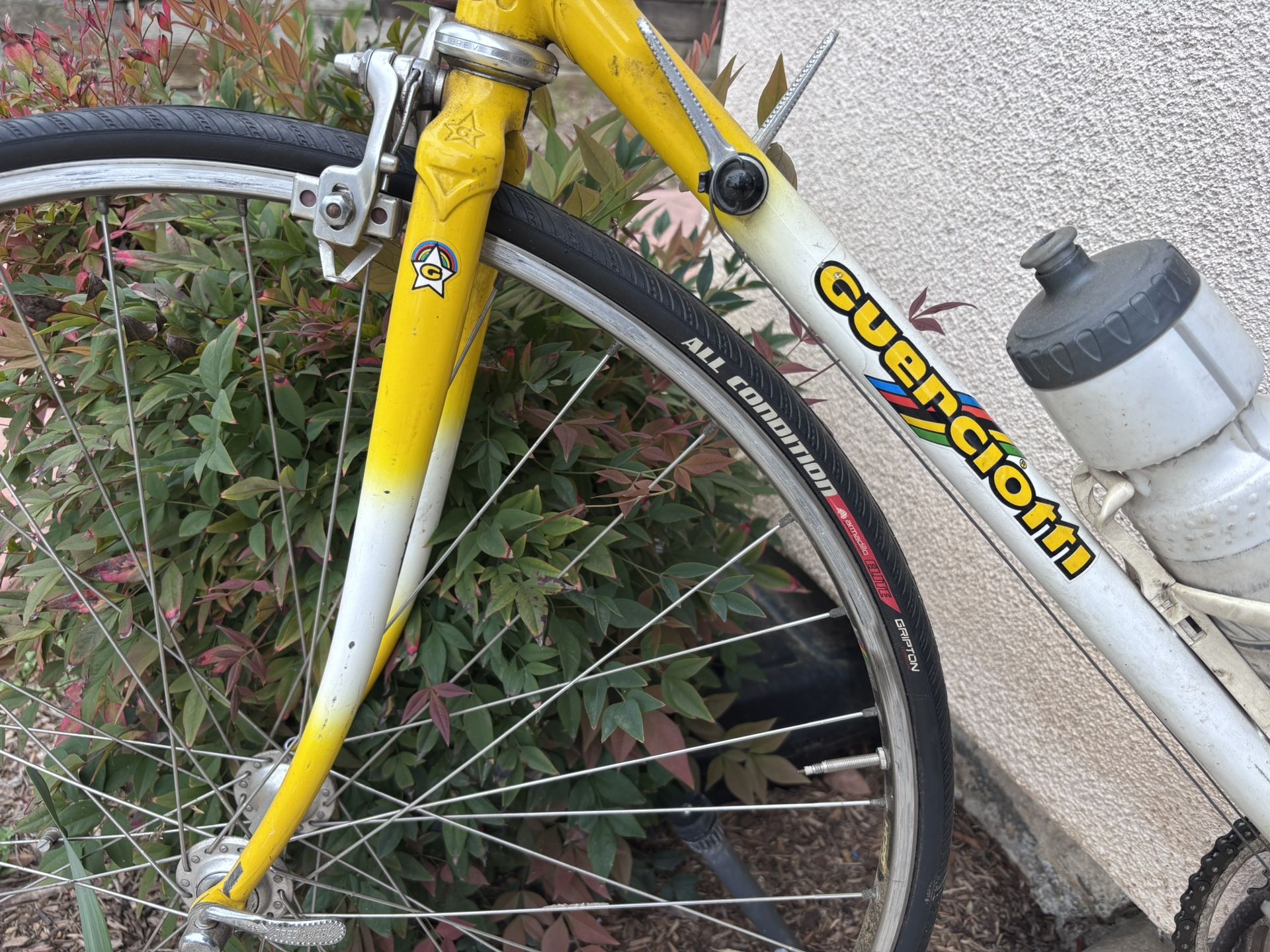Guerciotti Road Bike