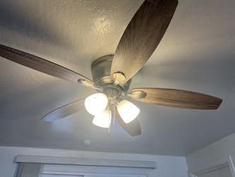 Ceiling Fan Like New