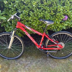 Giant Iguana Mountain Bike 