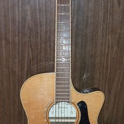 "ALVAREZ ACOUSTIC ELECTRIC" GUITAR  In Like New Condition, Ag75wce, W/Gig Bag, Paid $600 For It