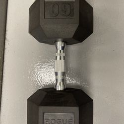 Rogue Fitness Dumbbell 