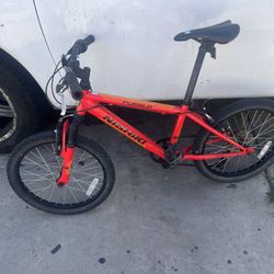 Youth Bicycle 20” 