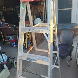 Ladder Step 5ft, WERNER Painting, E Mesa 