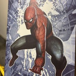 Twin Sheets Spider-Man And Wall Spider-Man Painting 