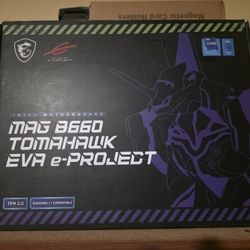 Tomahawk Eva E-Project Motherboard 