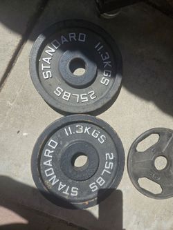 25lb olympic weight plates pair
