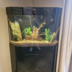 Fish Tank Corner Acrylic  Custom