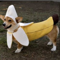 Pet Costume  (m-l)