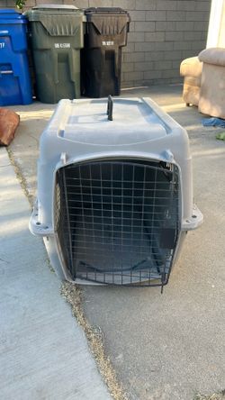 Medium size dog plastic carrier