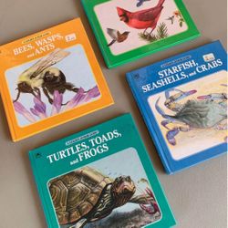 A golden junior guide series bundle