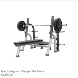 Commercial Flat Bench Press