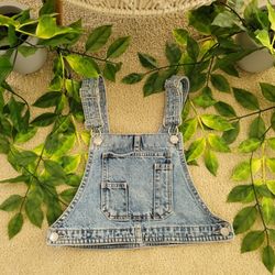 Zara Denim Overall Crop Top 