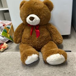 Teddy Bear 🧸 