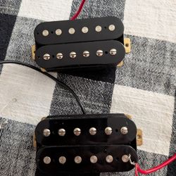 2009 Epiphone Goth Humbucker Pickups