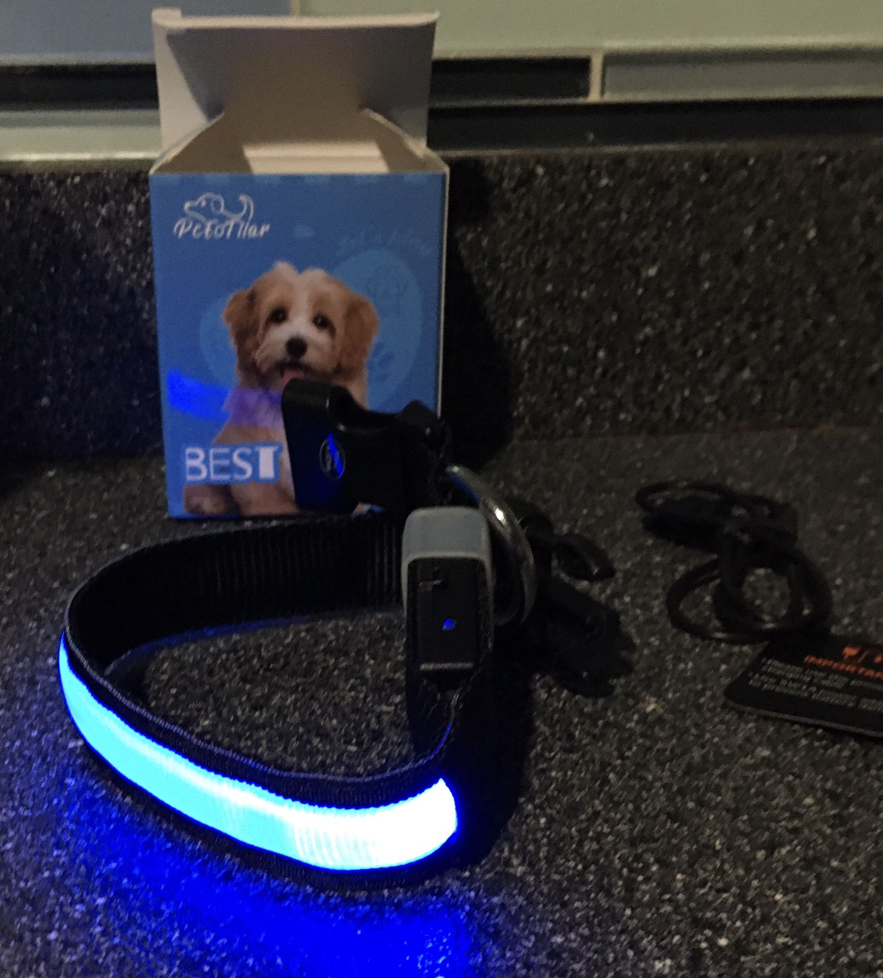 LED Dog Collar