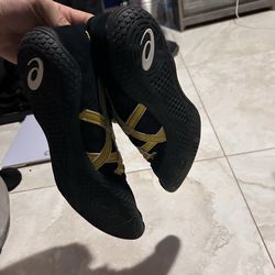 Wrestling shoes