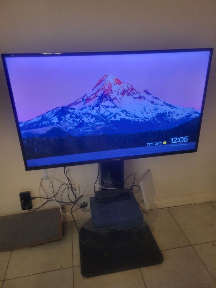 55 Inch TV with stand