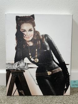 Catwoman Canvas Art 16 x 20 Vintage DC Comics