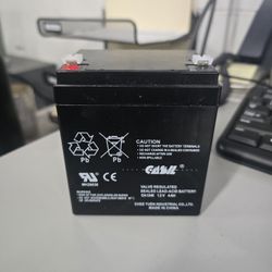 Casil CA1240 12V 4AH battery 