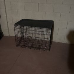 Big Dog Cage