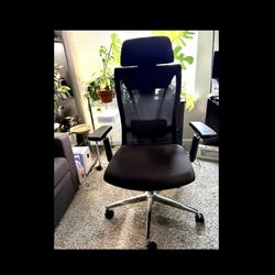 TribeSign Ergonomics Office chair , Lumbar Support, Tall And Adjustable 