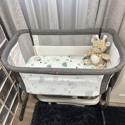 Baby Delight Bassinet 
