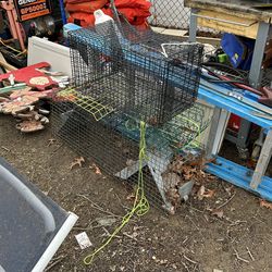 3 crab traps in squirrel trap