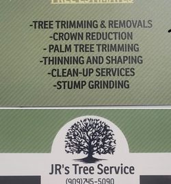 Tree ///Árboles