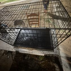Foldable Dog Crate 