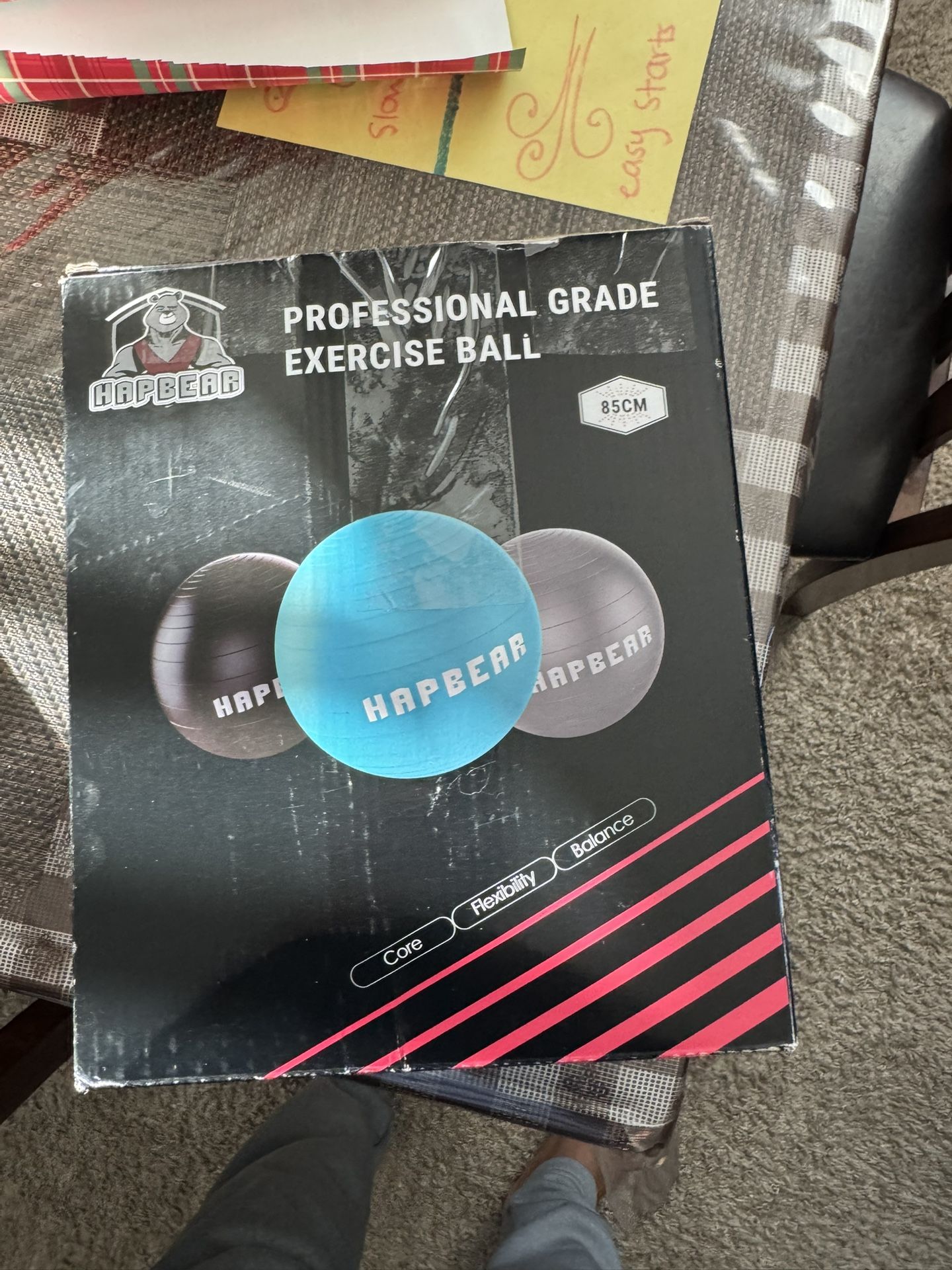 Excercise Ball