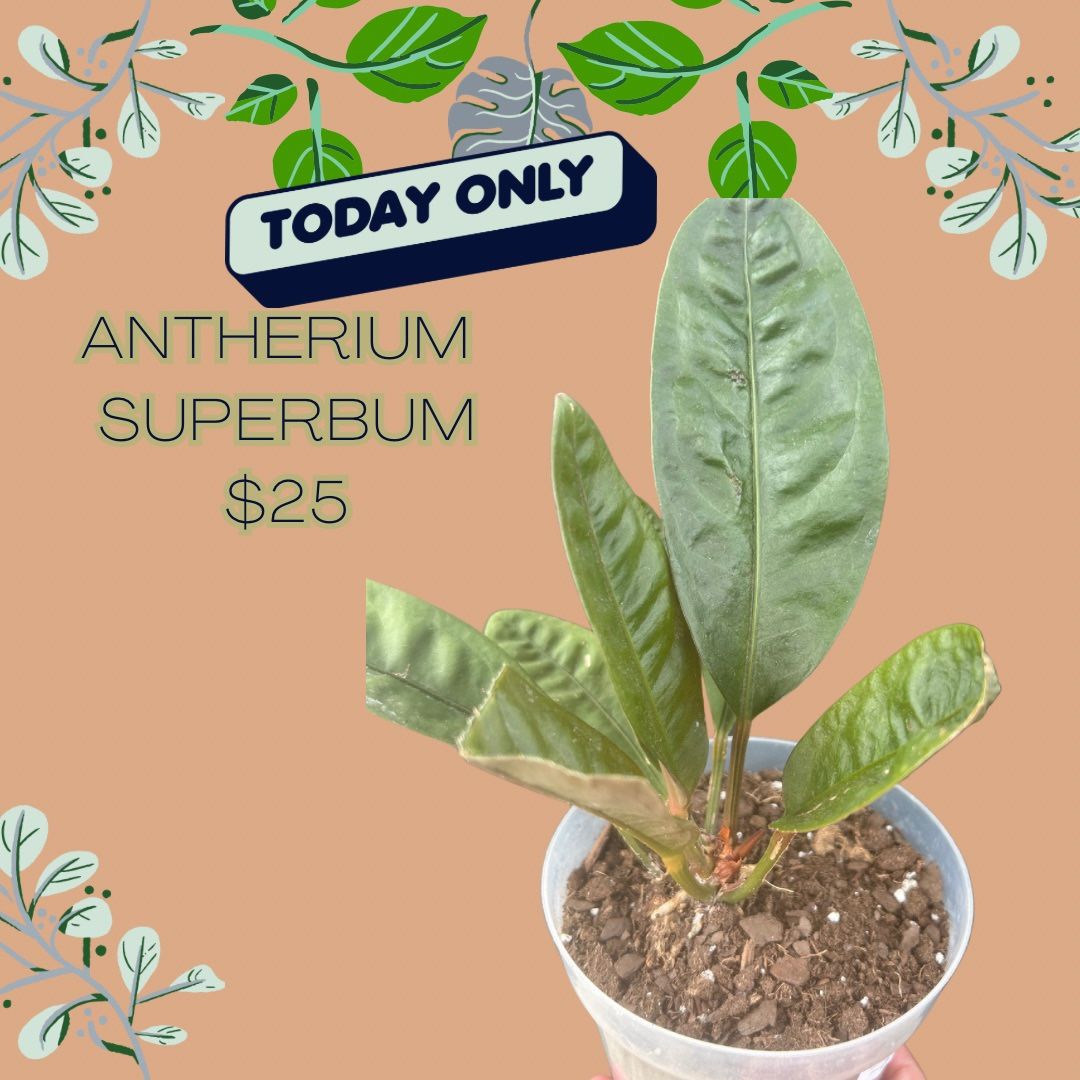 Plant regret…