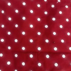 Beautiful red runner