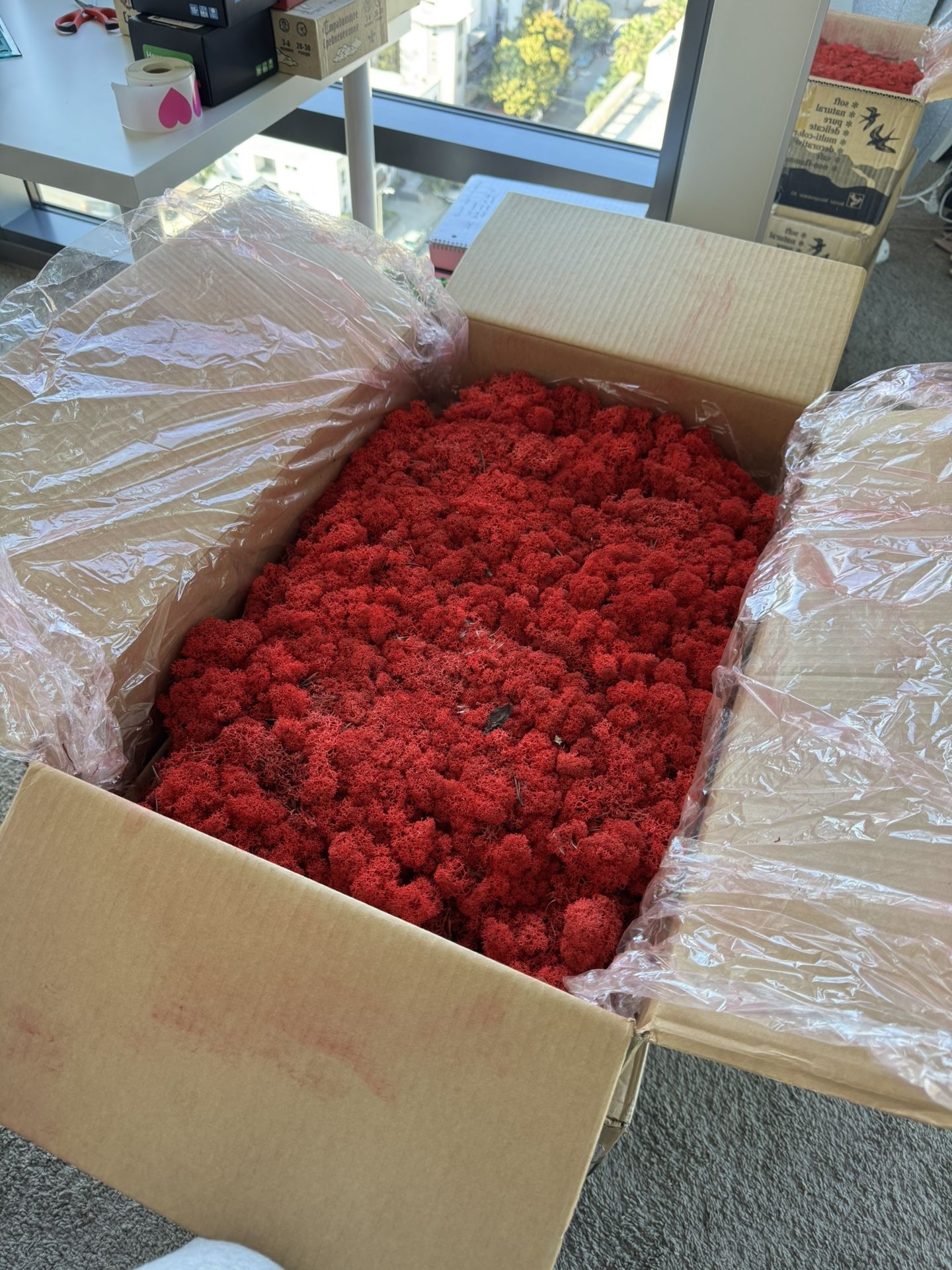 Preserved /Stabilized moss Bulk 8.8lb