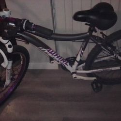 26* Genesis WhirlWind Purple 