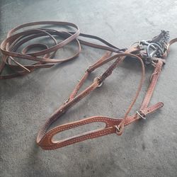 Horse Rein And Bit (Single Ear)