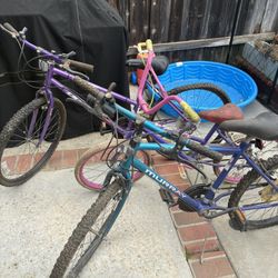 Free 3 Bikes