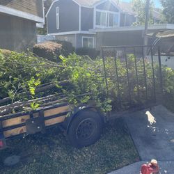 Yard Clean Up