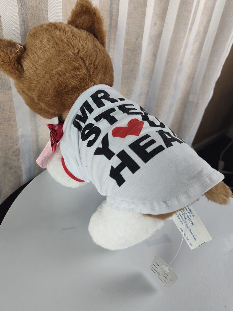 Mr steal your heart Valentine's dog shirt size small with a heart