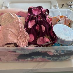 Large Container Name Brand Baby Girl Clothes 