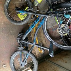 Schwinn 16” Bike