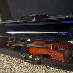 15” Viola 