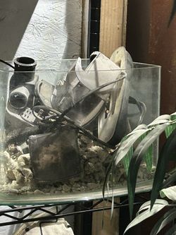 Fish Tank Salt Water Ready