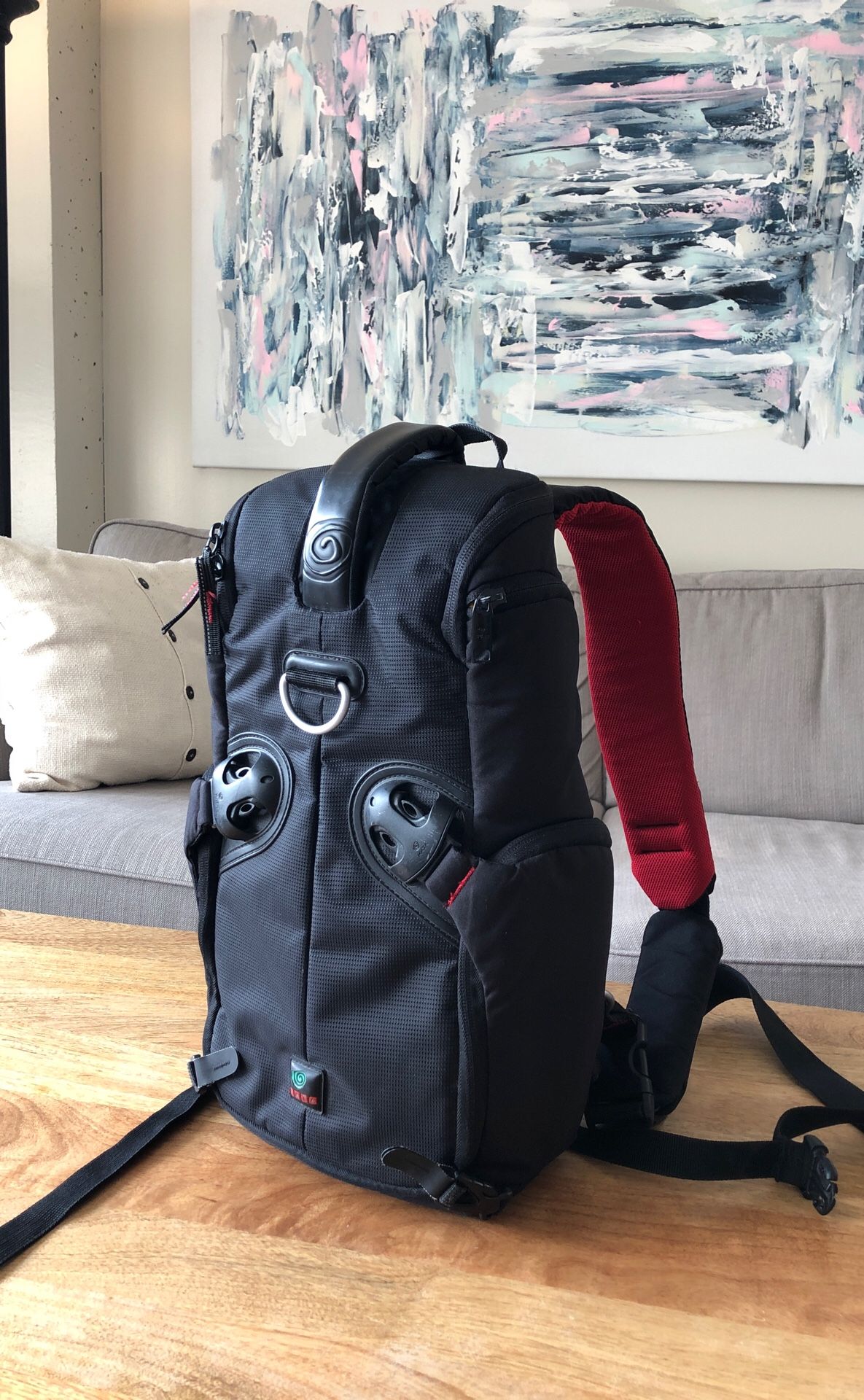 Camera Kata Backpack