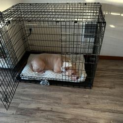 Collapsible Wire Dog Crate Approx 50lbs Dog Sizes