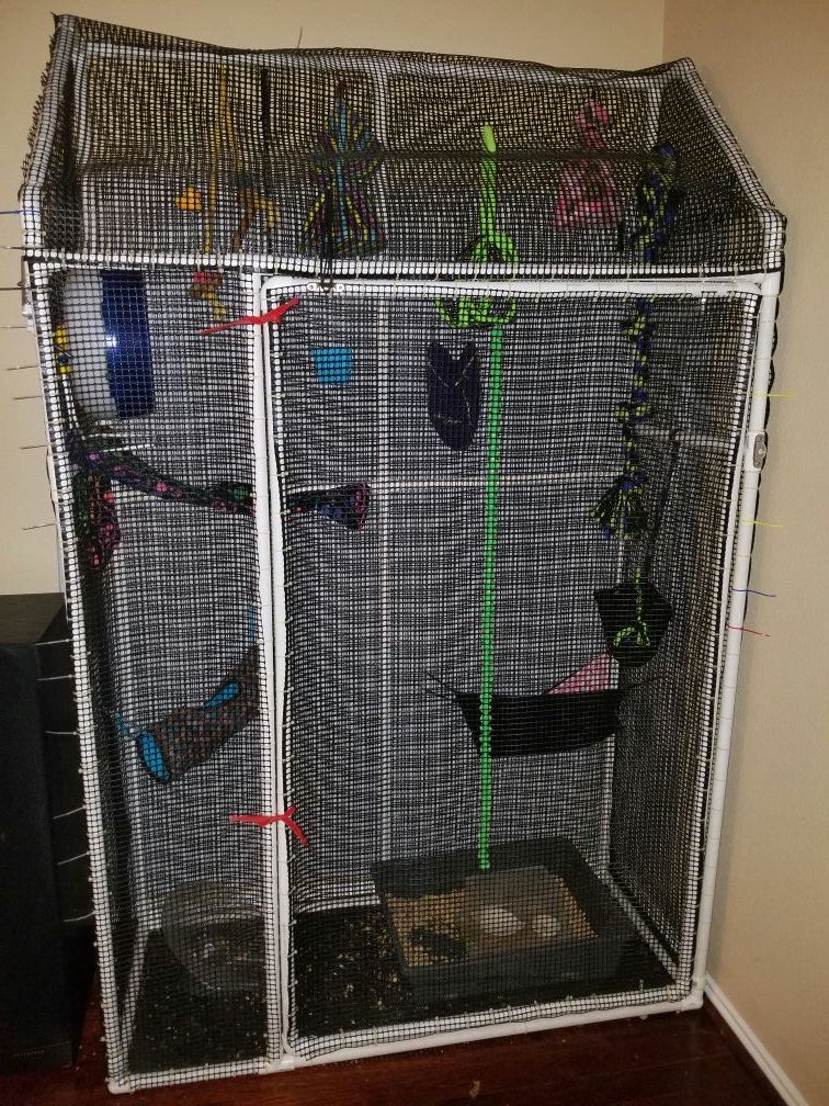 Sugar glider cage