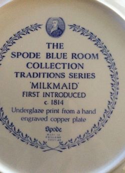 Spode porcelain handpainted detailed plate in blue. Beautiful condition collectors item no chips or cracks