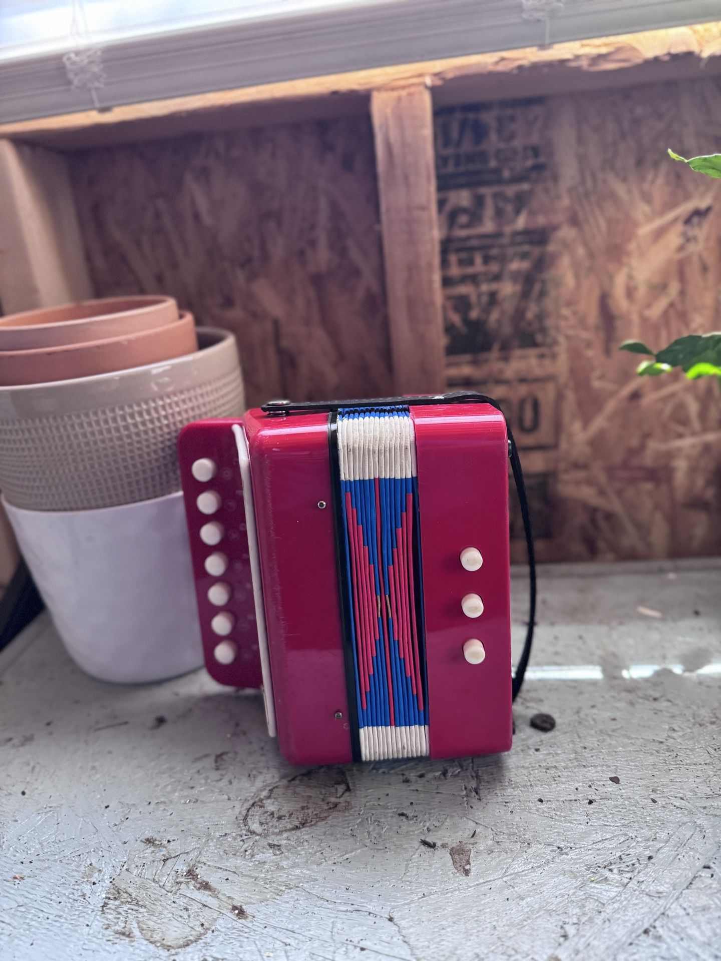 Vilac Accordion