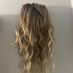 Human Hair Wig For Sale 22 Inches 