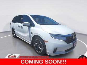 2023 Honda Odyssey